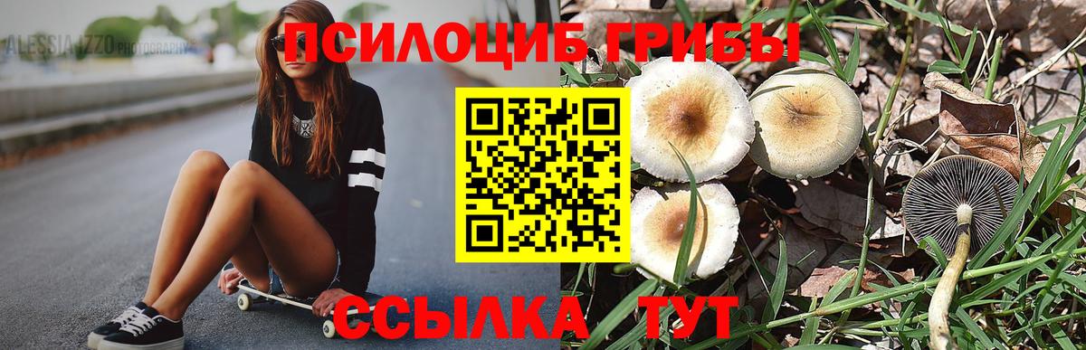 Галлюциногенные грибы мицелий  Вход с VPN  Галлюциногенные грибы Cubensis  сколько стоит  Кизляр 