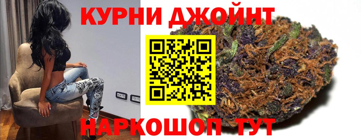 Каннабис план Кизляр